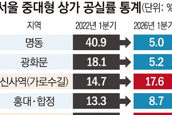 “찾을 이유 있어야 간다”…확 바뀐 서울 상권 지도 [뜨는 거리, 꺼진 거리 ①]