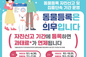 강서구, ‘동물등록 자진신고’ 운영…기간 내 등록 시 과태료 면제