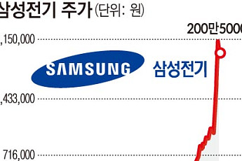 1년간 '1540%' 오른 이 주식…
