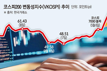 삼전·닉스 레버리지 출시 후 더 뛴 공포지수…VKOSPI 올해 평균보다 37%↑