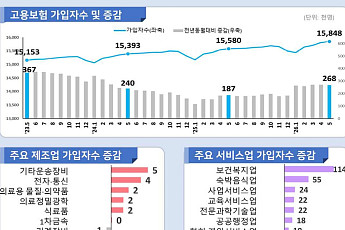 60세 이상 고용보험 가입자 20만7000명 증가