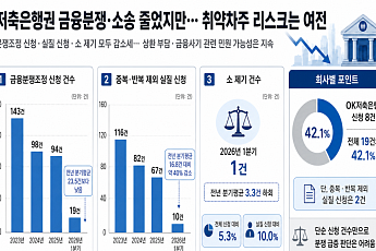 저축은행권 금융분쟁·소송 줄었지만⋯취약차주 리스크는 '여전'