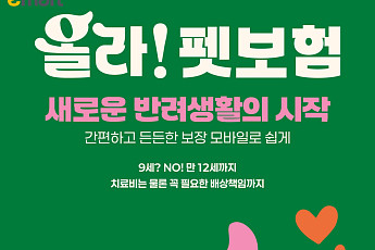 이마트, DB손해보험과 ‘올라 펫보험’ 선봬