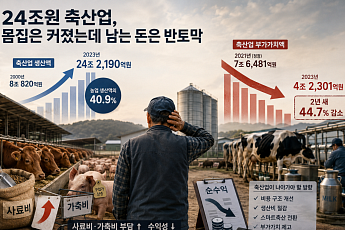 생산액 24조원 규모 축산업, 덩치 커졌는데 남는 돈은 '반토막'