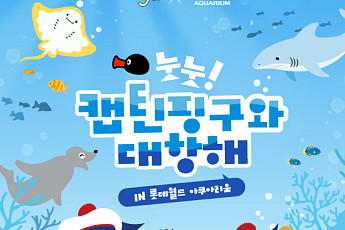 롯데월드 아쿠아리움, 여름 시즌 축제 '눗눗! 캡틴 핑구와 대항해' 진행