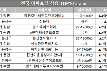 [아파트값 상승 톱10] 서울 용산구 ‘신동아’ 등