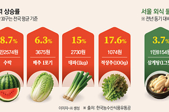 고환율에 히트플레이션, 역대급 장마까지⋯빨간불 켜진 ‘여름 물가’[요동치는 여름 장바구니 물가]