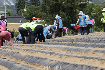 식량안보 위해 농업보조금 늘린다…성과형 인센티브 도입하나