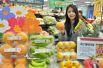국산 아열대 과일에 인천서 잡히는 홍어…기후 변화에 확달라진 유통가 MD지도