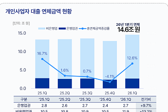 비은행권에 몰린 자영업자 빚⋯연체액 한 분기 만에 12.6%↑