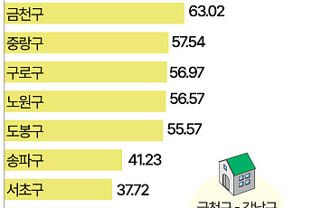 '영끌'은 외곽에 몰렸다…금천구, 대출 의존도 서울 최고 [데이터클립]