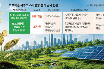 친환경에 자금 조달 커졌는데…투자자 체감 '깜깜' [녹색채권의 빈틈]