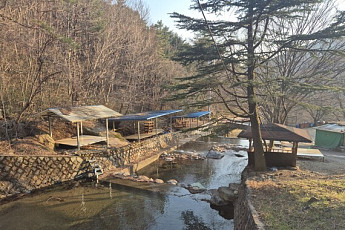 산림계곡 불법시설...전남도 312건 적발