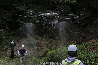 '러브버그 잡아라' 불암산에 살수드론 투입 [포토]