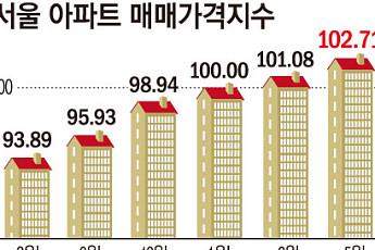 빚내서 집 사는 시대 끝냈지만⋯다시 뛰는 서울 집값 [6·27 대책 1년①]