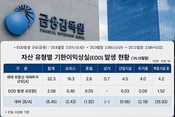 금융권 해외부동산 투자 부실 우려 2조⋯“리스크 관리 집중”