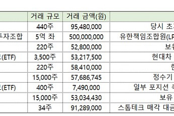 현대차로 벌고 스톰테크서 까먹고…한솔케미칼 오너가 법인, ‘YHH홀딩스’ 재테크 성적표는