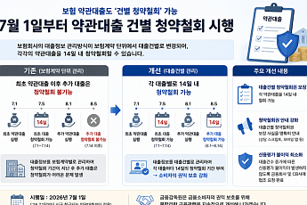 금감원 