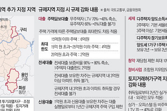 집값 뛰면 뒤따라 포위…남은 비규제지역도 사정권 [6.30 대책]