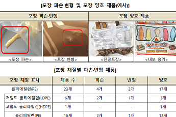 캠핑 먹거리 안전성은 '합격'…소비자원 