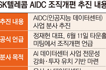 [단독] SKT, 'AI 데이터센터' 조직 재편 착수⋯1000조 투자 첫발 뗐다 [SK, AI 인프라 재편]