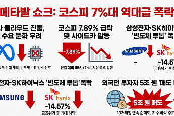 메타發 쇼크…코스피, 7%대 급락 '반도체 투톱' 역대급 폭락[종합]