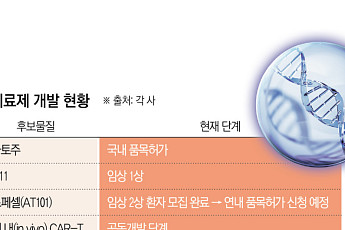 국산 CAR-T 치료제 개발 경쟁 본격화…‘림카토’ 이을 신약은[차세대 K-신약②]