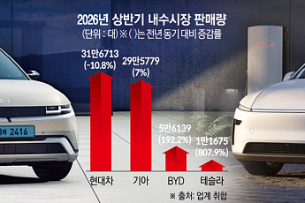 테슬라·BYD·지커 '중국산' 삼각공세…안방 車 시장 흔든다