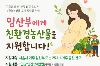 서울시, 임산부 2만9000명 친환경농산물 연 24만원 지원⋯13일부터 접수