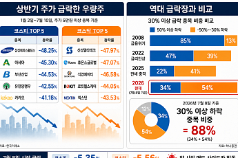 간판 우량주마저 무너진 상반기...하반기 낙폭과대 딛고 일어설까