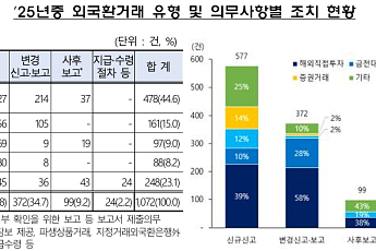 지난해 외국환거래 위반 1072건⋯해외직접투자 비중 최다