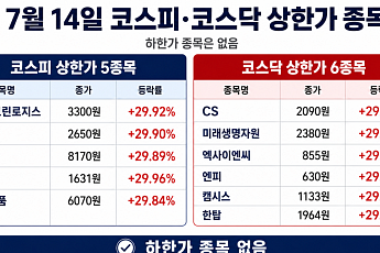 [급등락주 짚어보기] 애국매수에 모나미 상한가…STX그린로지스·비비안·현대약품도 강세