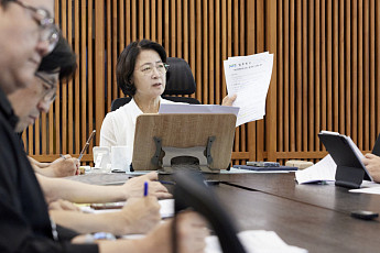 추미애 경기도지사 
