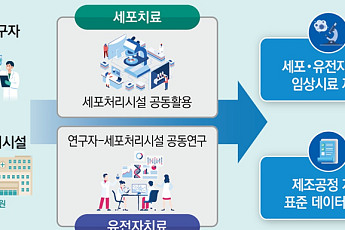 '줄기세포 원정치료' 국내서 검증⋯안전성 등 확인되면 국내서 치료