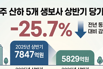 업황 악화·계리 가이드라인 이중고…금융지주 생보사 순익 ‘둔화’