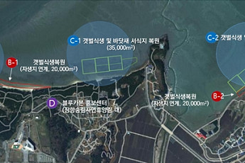 민관 손잡고 서천갯벌 복원…260억 투자, 블루카본 생태계 조성