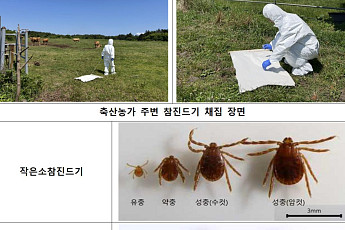 백신·치료제 없는 SFTS, 지난해 환자 65% 급증…축사 ‘진드기 경보’