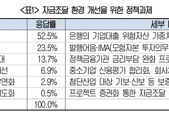 직·간접금융 모두 막힌 기업들…절반 “은행 기업대출 규제 완화해야”