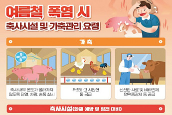 폭염에 가축 36만마리 폐사…정부, 예방비 41억 추가 투입