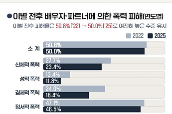 이혼·별거 경험자 절반 '이별 폭력' 겪었다⋯여성 29%는 스토킹 피해