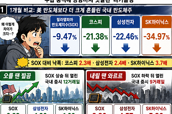 美 오를 땐 찔끔, 내릴 땐 와르르…엇박자 커진 K-반도체
