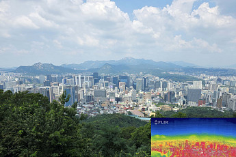 39도까지 치솟는다⋯수도권ㆍ광양 폭염중대경보 [날씨]