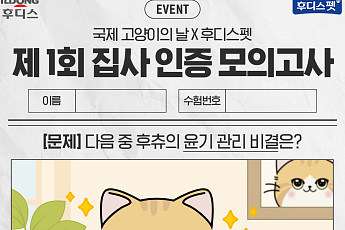 일동후디스, 고양이의 날 맞아 ‘집사 능력 파악’ 나섰다