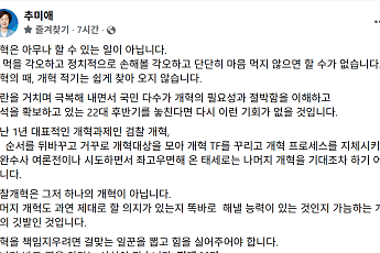 추미애 