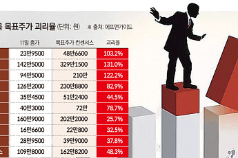 삼전·SK하닉 목표가는 주가의 두 배…반도체 전망과 시장 온도차