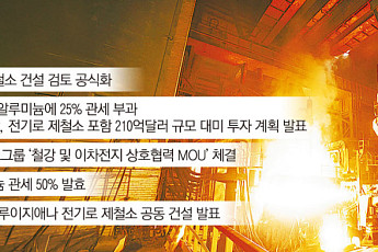 철강동맹으로 50% 관세장벽 넘는다…美 생산 승부수 [현대차·포스코, 현지화 생존법]