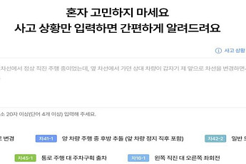 손보협회, 자동차사고 과실비율정보포털 개편…'과실도표 검색기능 고도화'