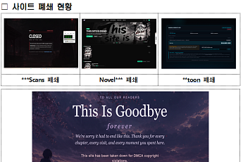 문체부·경찰청, 북아프리카 거점 K콘텐츠 불법 유포 사이트 3곳 폐쇄