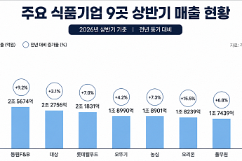 불닭·초코파이 해외서 날았다…식품업계, 상반기 실적 ‘활짝’ [종합]