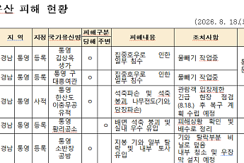 사흘간 900㎜ ‘물폭탄’ 맞은 남해안…통영 국가유산 5건 훼손·거제는 0건